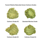 Studio Lesson - Tea Professional or Connoisseur Level - Personalized Deep Dive Into Japanese Tea