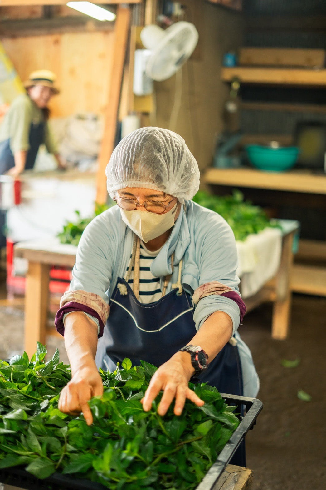 #0947.J1 Hiroko’s Herb Garden: Dried Spearmint Herbal Tea Grown in Koga Village, Ibaraki, Japan