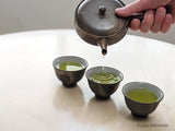 SENCHAISM - THE FIRST - 近藤早生　静岡産の単一品種煎茶