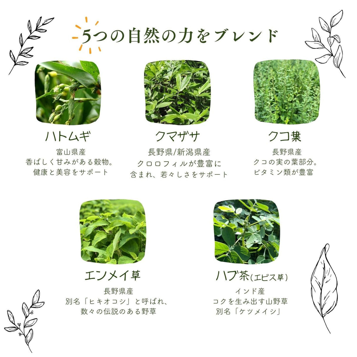 Enmei Tea
