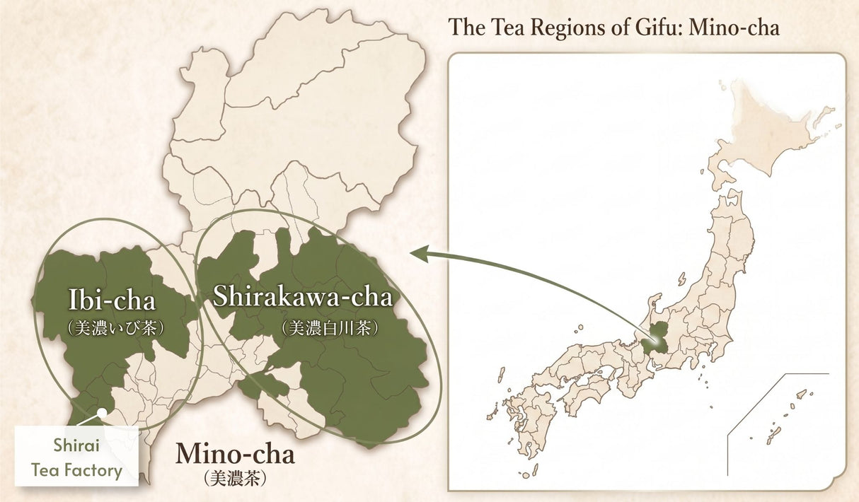 #1078.G1 Shirai Tea Factory: Japanese Wakocha Black Tea "Akane"