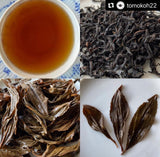 #0268.F2 (Last few units for 2024) Chiyonoen Tea Garden: #21A Mountain-Grown Yame Black Tea, Single Cultivar Kanaya Midori Spring【矢部紅茶】かなやみどり 春摘み (Naturally Grown)