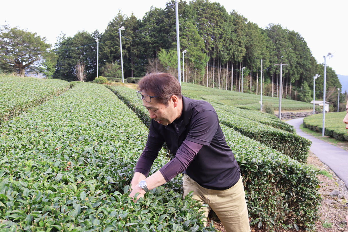#1057.G1 新田製茶: 特選ほうじ茶