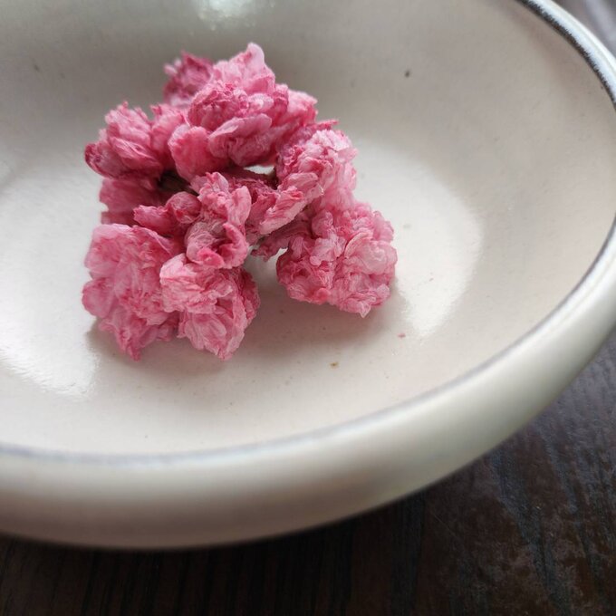 Iijima Seitarou Shoten KN003: Salt-Pickled Sakura Blossoms (Japanese-grown) 桜花の塩漬