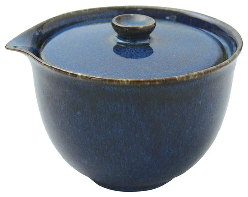 Minoyaki Houhin Shiboridashi Kyusu Tea Pot (White, 180 ml)