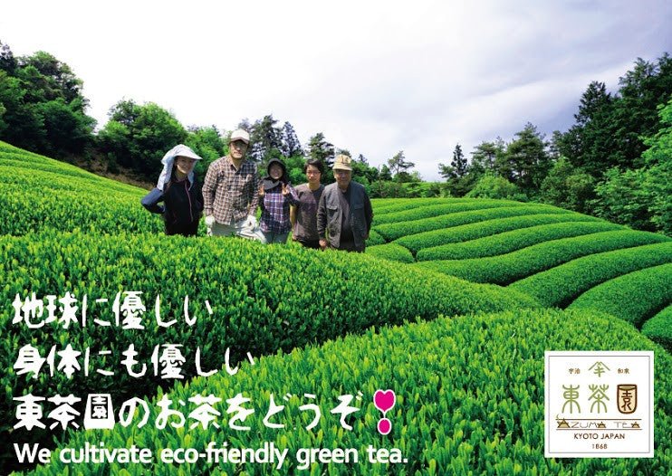 Azuma Tea Garden: "Ipponmatsu" - Matcha Cultivar Series Organic Okumidori, Standard Ceremonial Grade - Yunomi.life