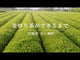 #0485.M3 Miyazaki Sabou MY05: Naturally Grown Kamairicha Green Tea - Takachiho Single Cultivar