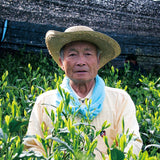 Kaneta Ota Tea Garden: Micro batch 2022 Sencha, Single Cultivar Saemidori - Yunomi.life