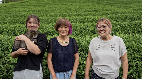 Kiroku Tea Garden: Single Cultivar Asanoka Matcha (Imperial Grade) from Wazuka, Kyoto - Yunomi.life