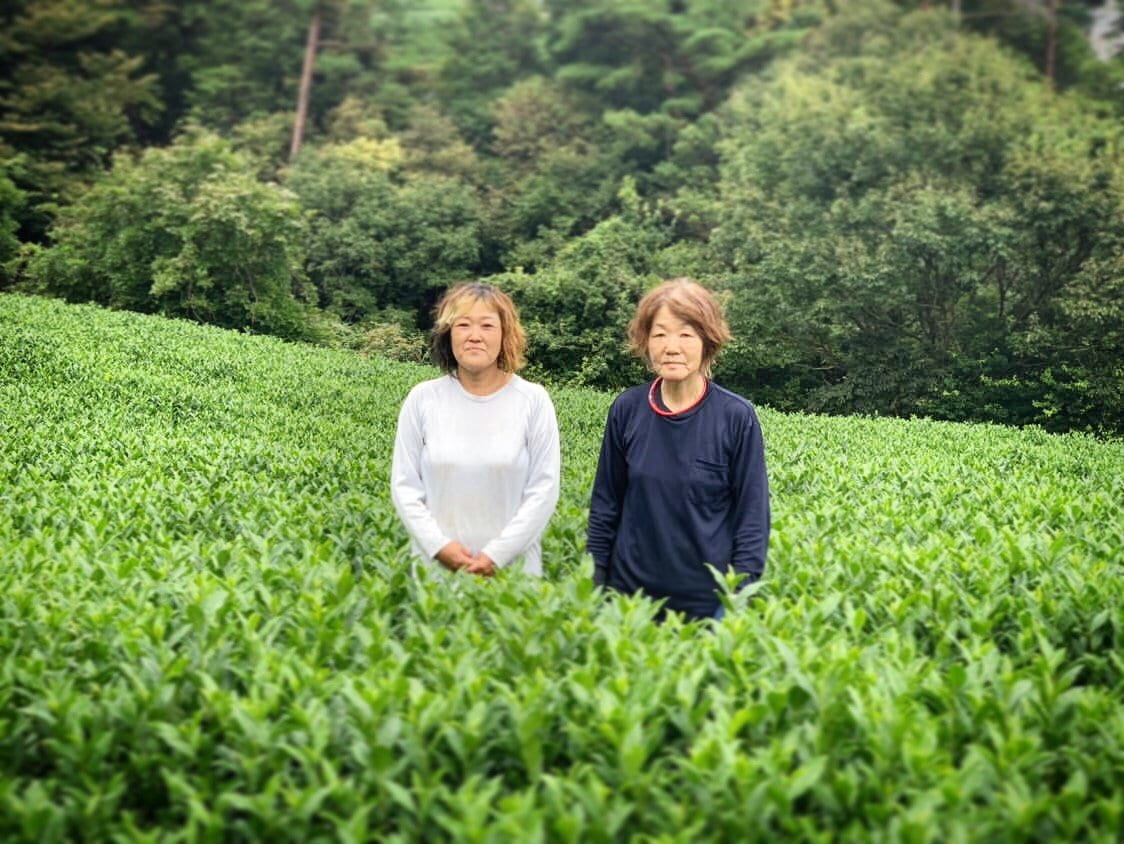 Kiroku Tea Garden: Single Cultivar Tencha Okumidori from Wazuka, Kyoto - Yunomi.life