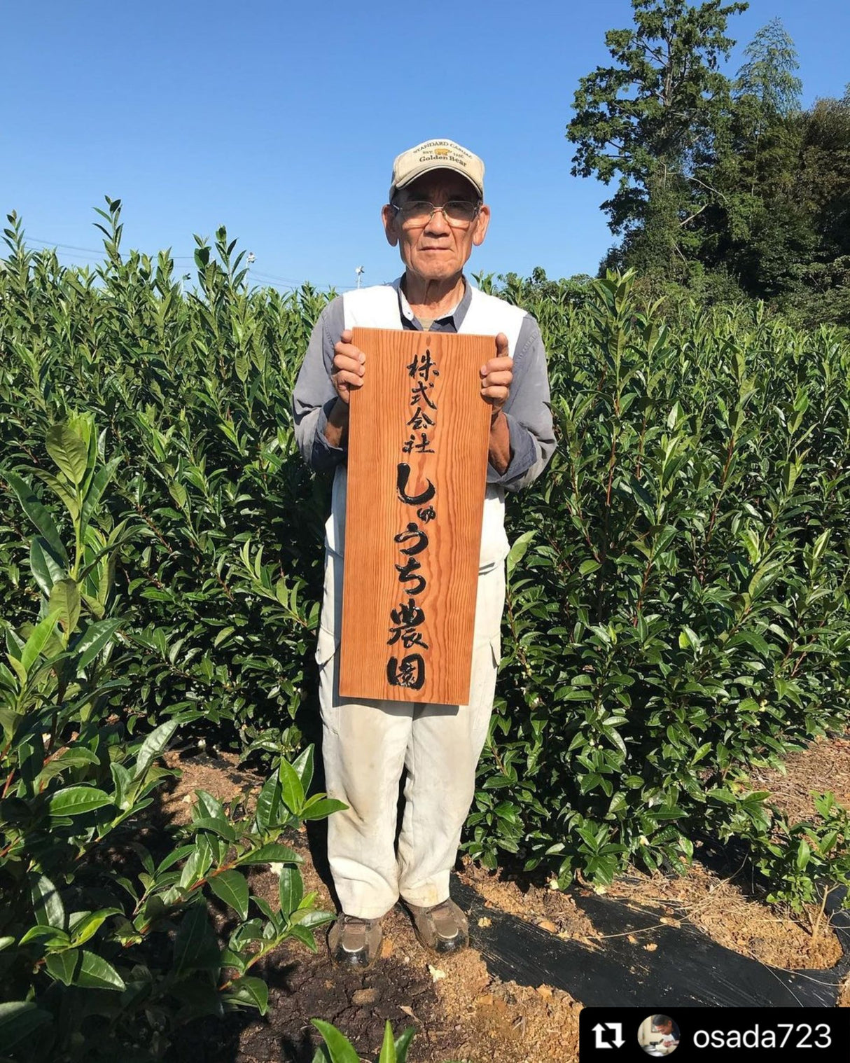 Shuchi Tea Garden: Fukamushicha Green Tea, Kirari 31 Single Cultivar, 2022 Nihoncha Awards Platinum Medal Winner, Refined by Osada Tea - Yunomi.life