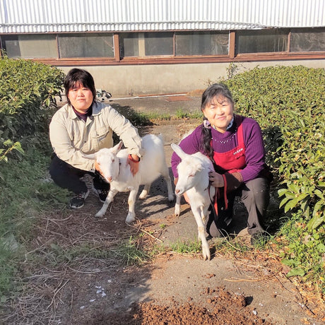 Tarui Tea Farm: 2022 Yabukita - Single Cultivar Shizuoka Sencha (JAS Organic) 有機やぶきた - Yunomi.life