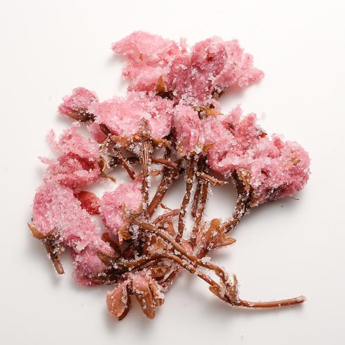 Tomiz: Salt-Pickled Sakura Blossoms (Japanese-grown) 桜花の塩漬 - Yunomi.life