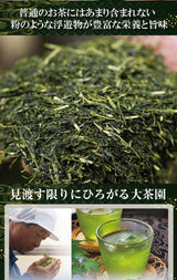 Wakoen Tea Farm: 2022 Kagoshima Fukamushicha - Takumi 和香園 深蒸し茶 匠 - Yunomi.life