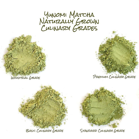 YMG07 Yunomi Matcha Naturally Grown, Industrial Grade 1kg Bulk Bag - Yunomi.life