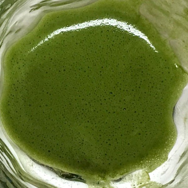 Yunomi Matcha: Premium Culinary Grade Matcha (Spring Harvest) - Yunomi.life