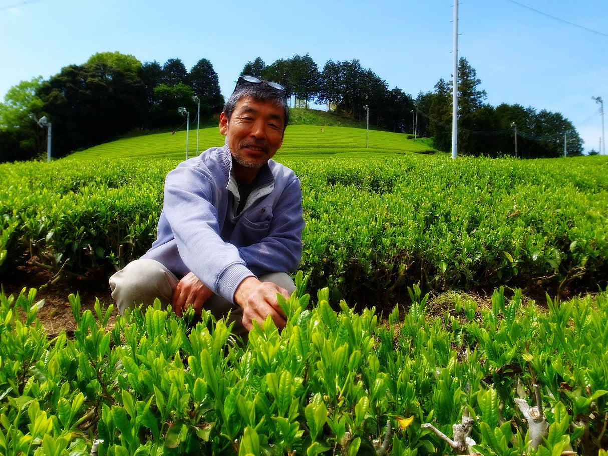 Zenkouen Tea Garden #18: 2022 Daichi no Meicha - Single Cultivar Yabukita Shizuoka Sencha (JAS Organic) 大地の銘茶、やぶきた - Yunomi.life